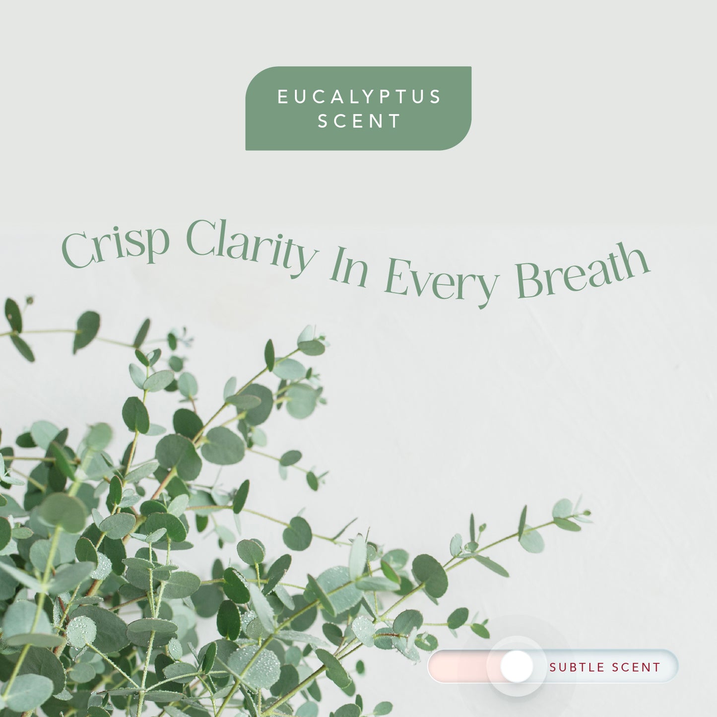 Radiance by Mist Replacement Aromatherapy Vitamin C Filter Cartridge for Filtered Shower Heads