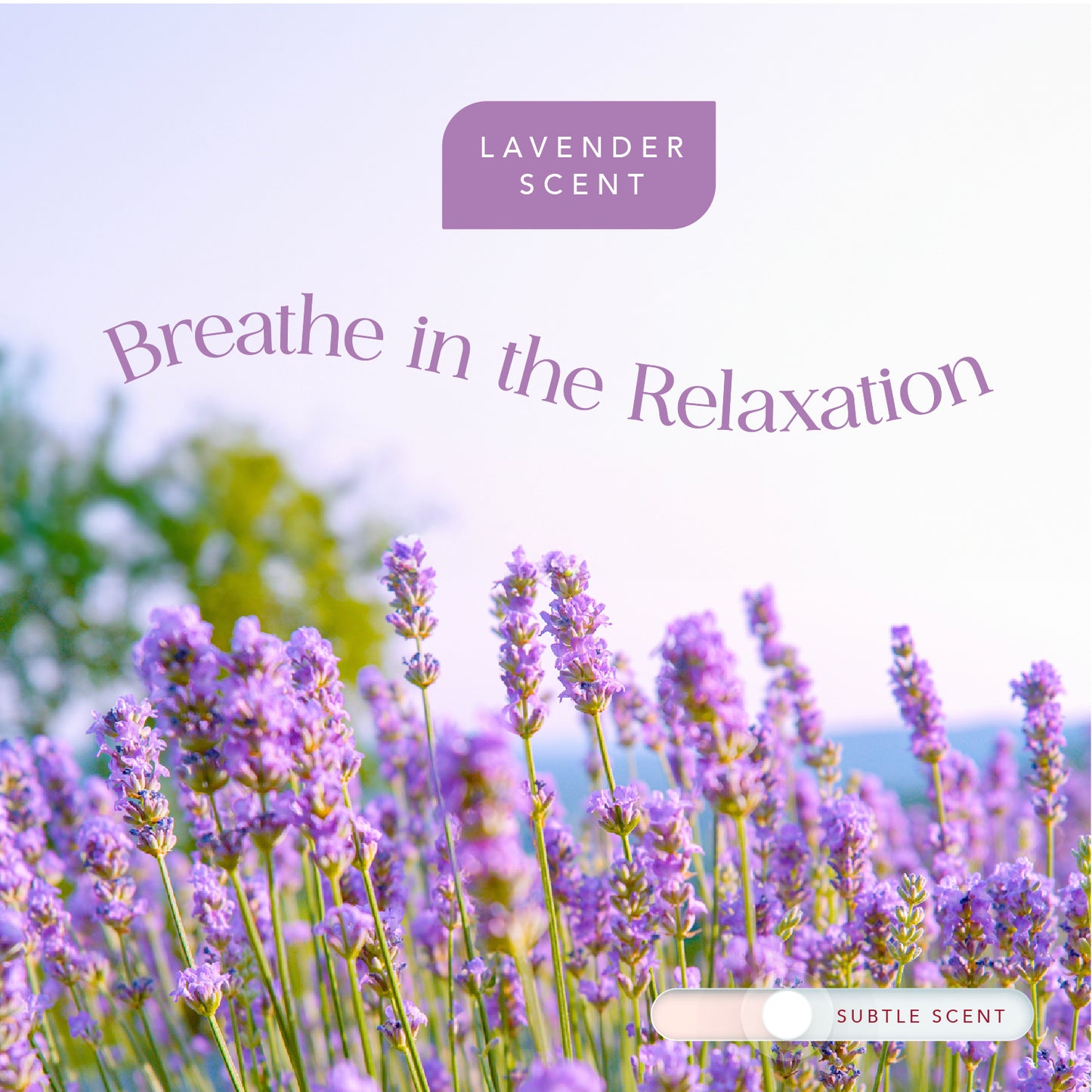 Radiance by Mist Replacement Aromatherapy Vitamin C Filter Cartridge for Filtered Shower Heads