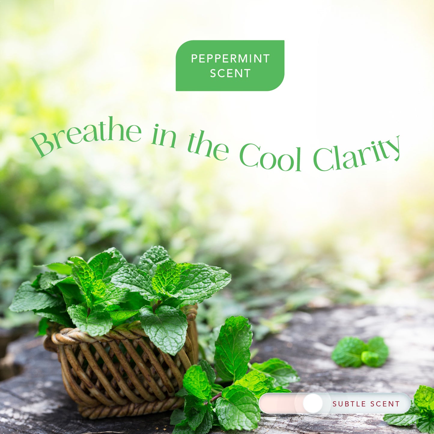 Radiance by Mist Replacement Aromatherapy Vitamin C Filter Cartridge for Filtered Shower Heads